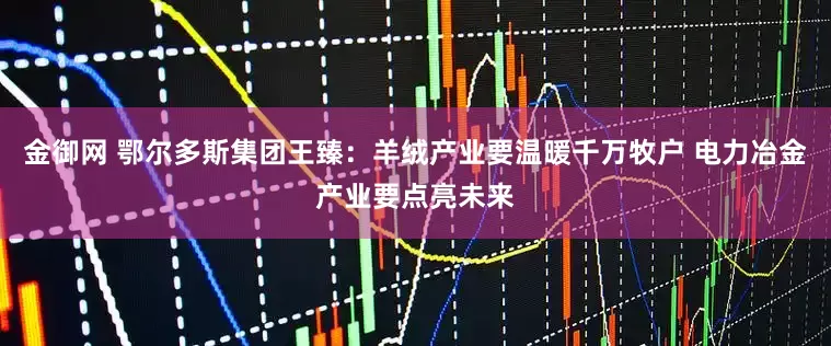 金御网 鄂尔多斯集团王臻：羊绒产业要温暖千万牧户 电力冶金产业要点亮未来