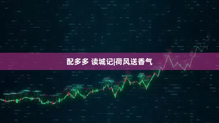 配多多 读城记|荷风送香气