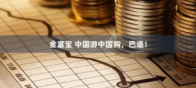 金富宝 中国游中国购，巴适！