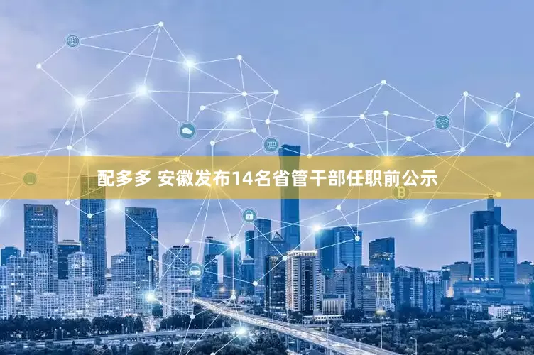 配多多 安徽发布14名省管干部任职前公示