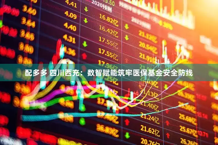 配多多 四川西充：数智赋能筑牢医保基金安全防线