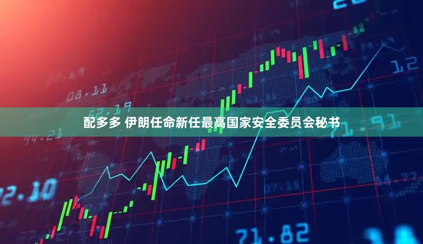 配多多 伊朗任命新任最高国家安全委员会秘书