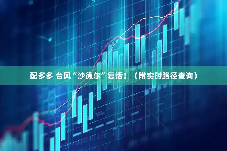 配多多 台风“沙德尔”复活！（附实时路径查询）